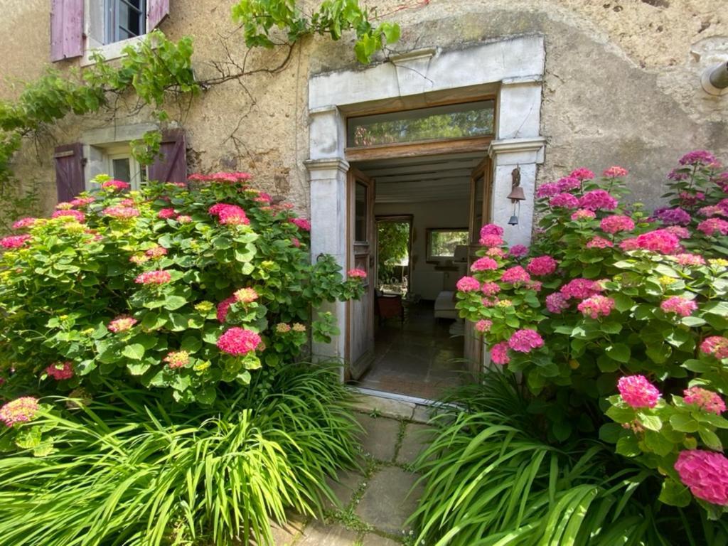 Maison D'Hotes-Maison Castaings Lucq-de-Béarn 외부 사진